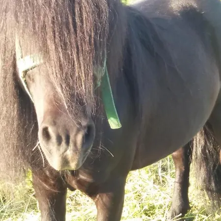 Locanda Chili Mili *