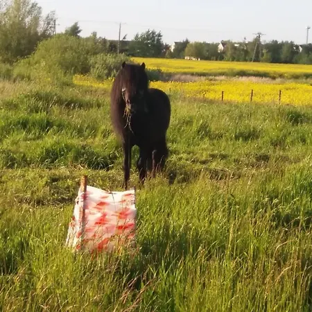 Chili Mili Locanda *