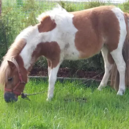 Chili Mili Locanda *