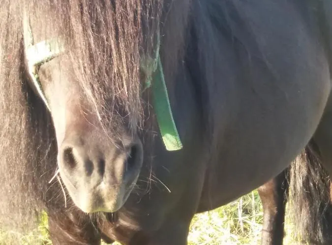 Locanda Chili Mili *