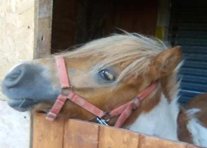 Chili Mili * Ustronie Morskie